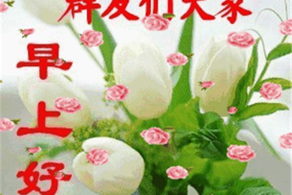 大家早上好