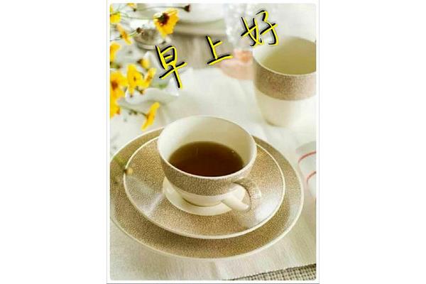大家早上好