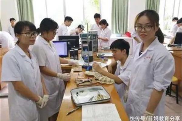 学医什么专业最好