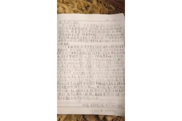 征文600字