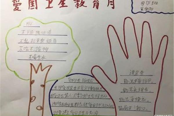 爱国卫生月手抄报