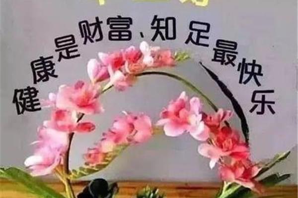大家早上好