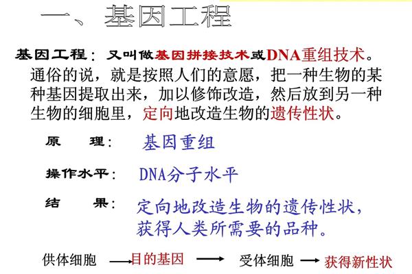 基因工程的应用