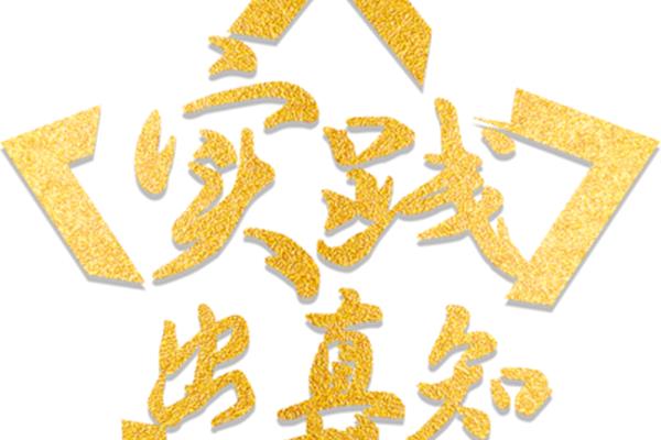 实践出真知的例子