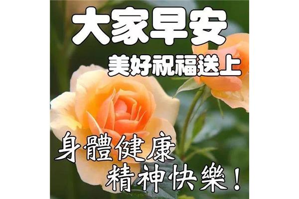 大家早上好