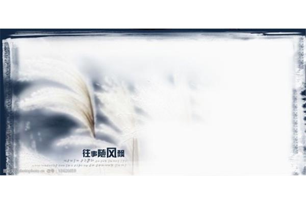 往事随风飘