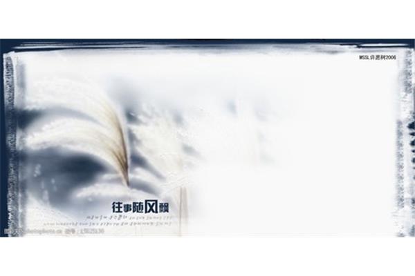 往事随风飘