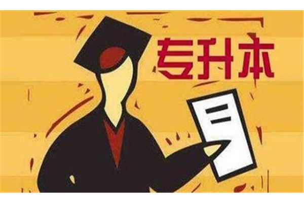 财务会计专业