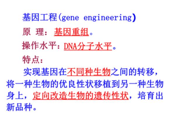 基因工程的应用