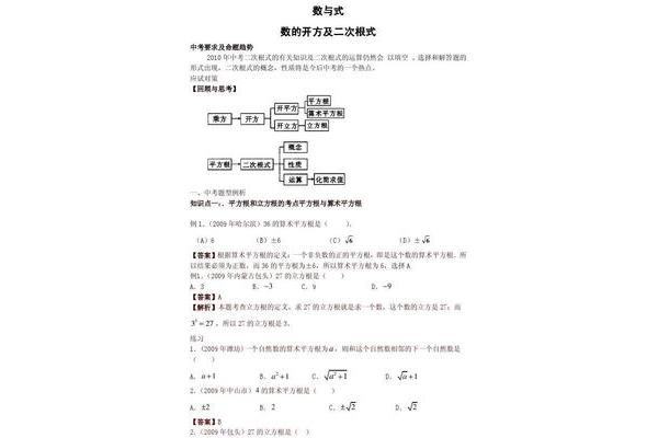 中考数学专题复习