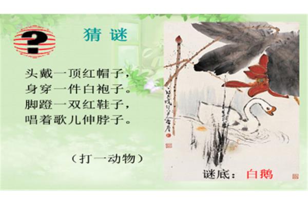 动物叫声的词语
