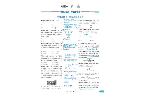 中考数学专题复习