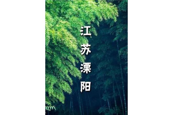 上有天堂下一句
