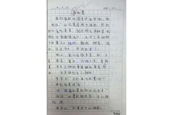 600字作文写景