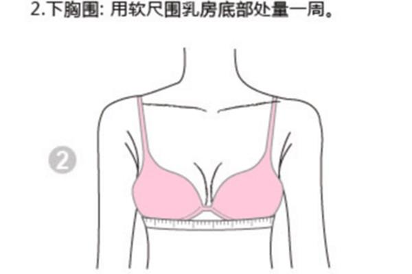 怎么量罩杯