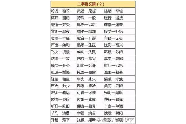 每天近义词