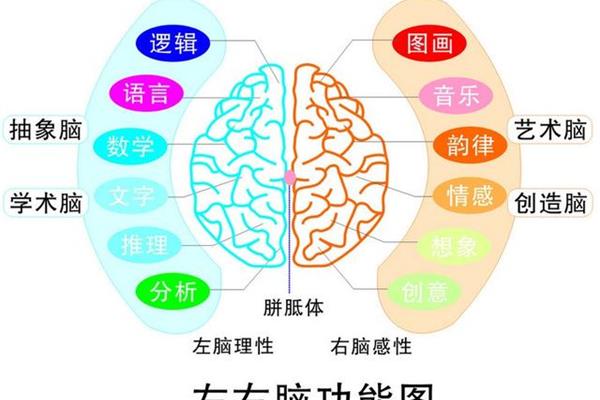 右脑开发训练