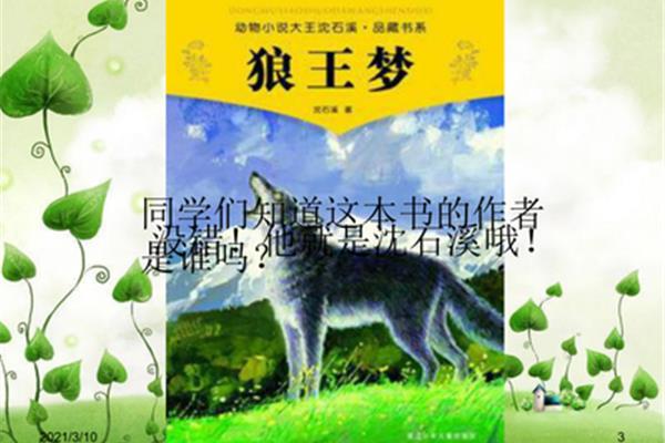 狼王梦推荐理由