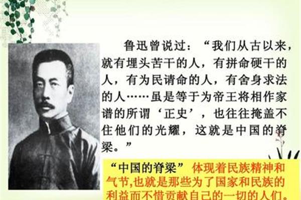 脊梁的意思