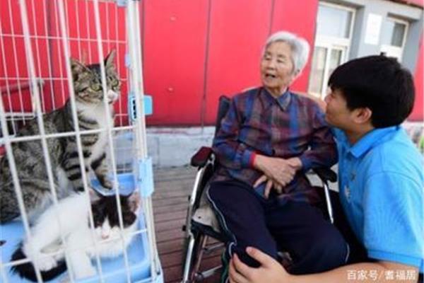安享晚年什么意思