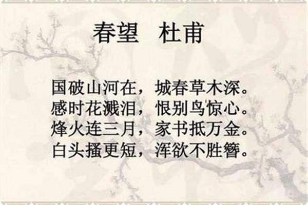 律诗和绝句