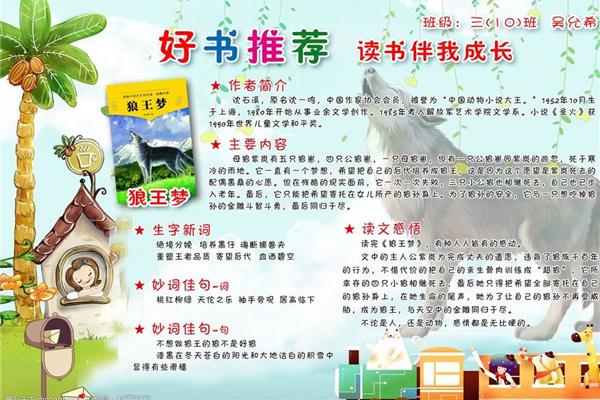狼王梦推荐理由