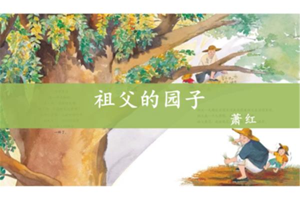 祖父的园子分段