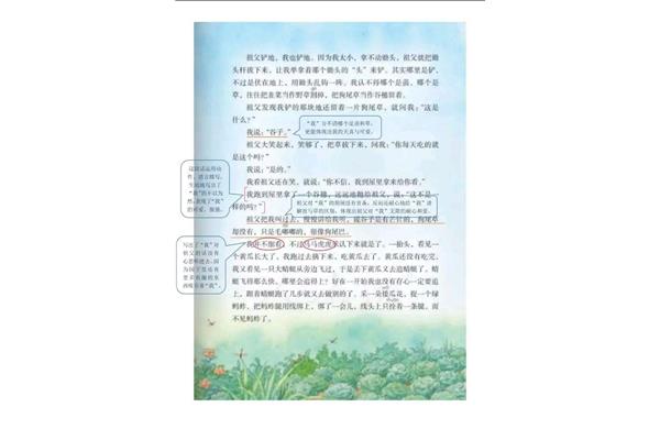 祖父的园子分段