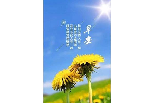 快乐的人生
