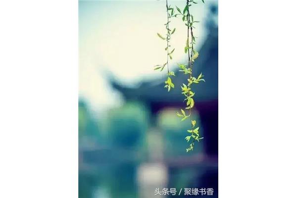 迟迟春日弄轻柔