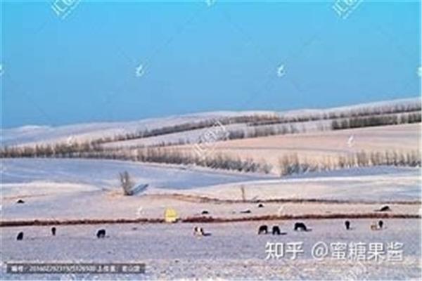 冬牧场读后感