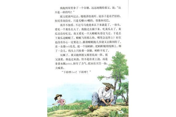 祖父的园子分段