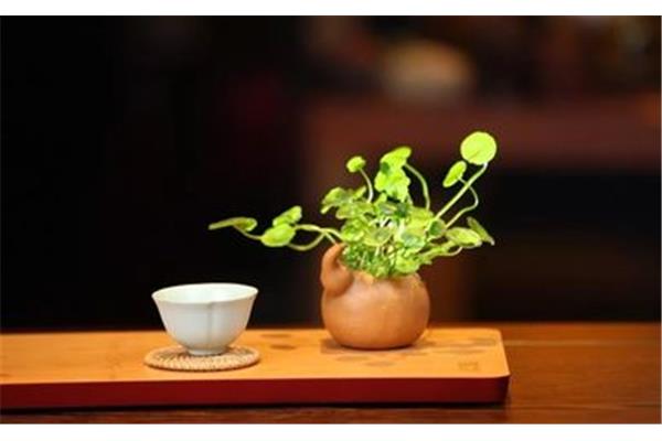 蔚为大观的意思