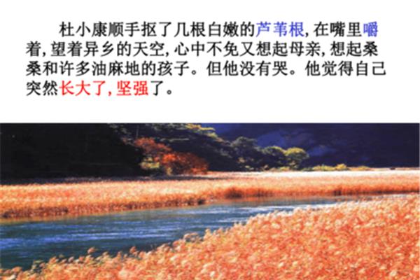 孤独之旅原文