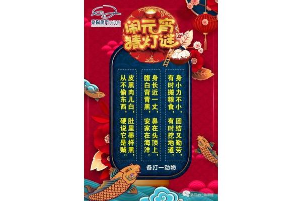 皮黑肉儿白