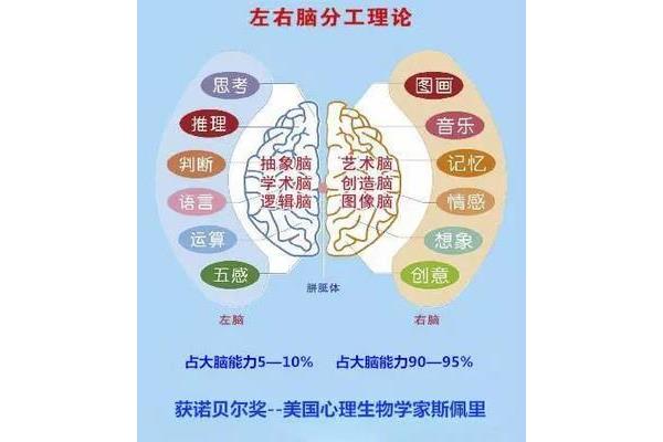 右脑开发训练
