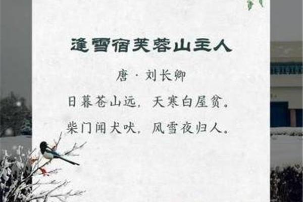 关于雪的词
