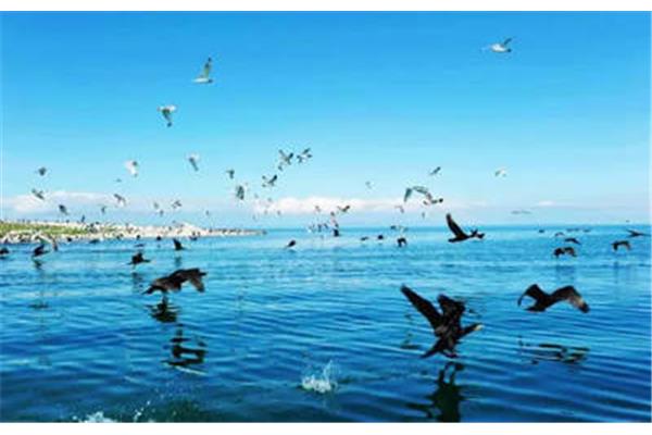 深深的脑海里