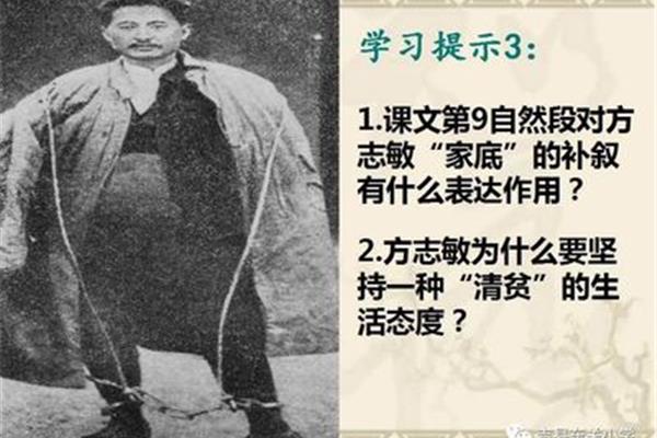 补叙的作用