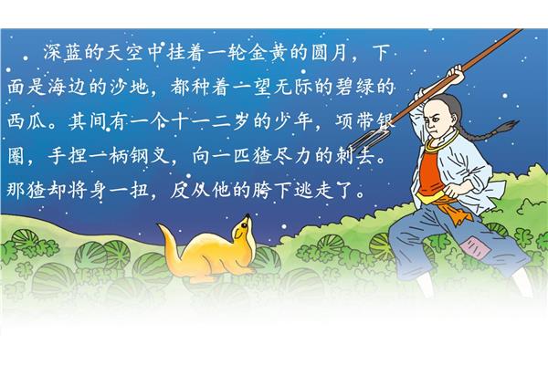 少年闰土课件