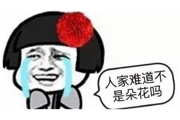 朵的四字成语