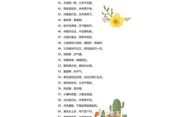 十句天气谚语