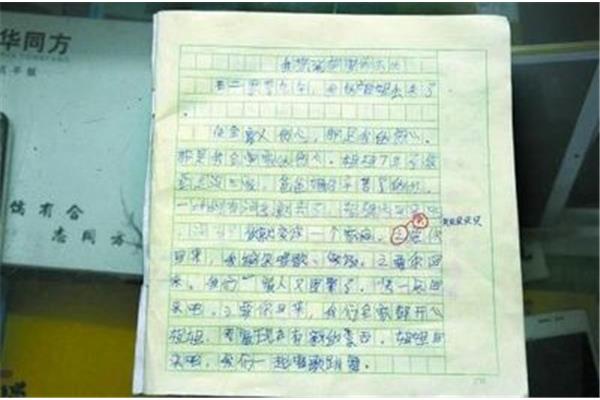 泪水作文500字