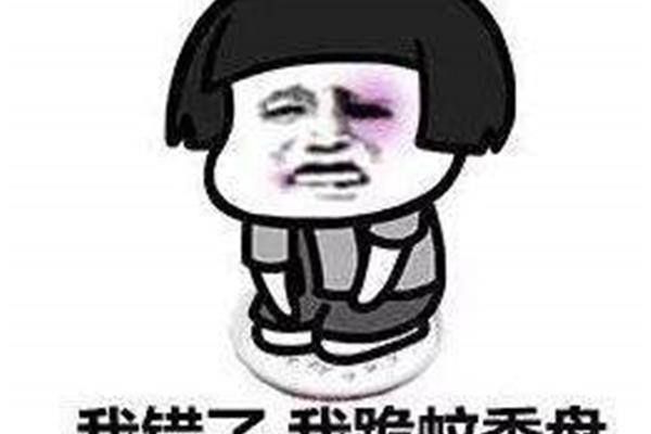 我承认我错了