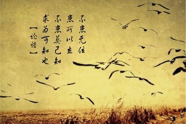 奋斗励志的句子