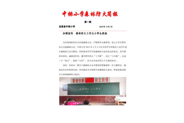 森林防火工作简报