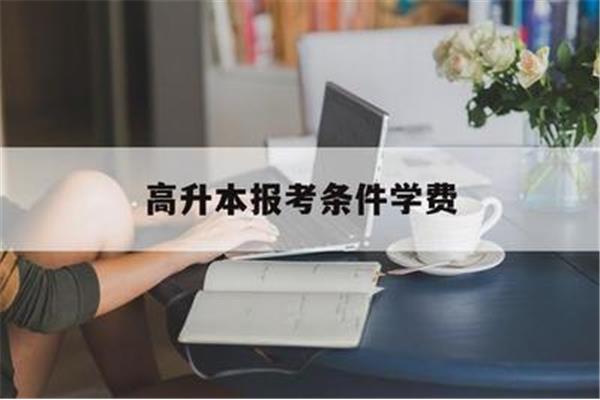 高升本报考条件