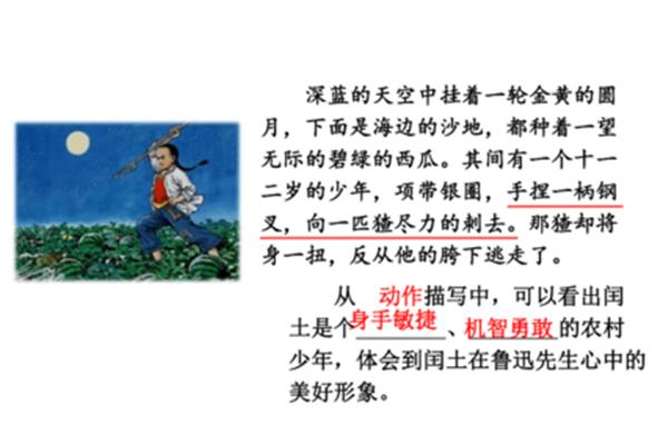 少年闰土课件