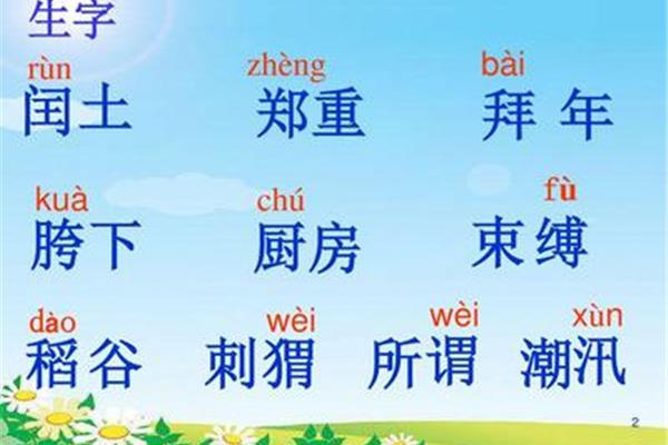 少年闰土课件