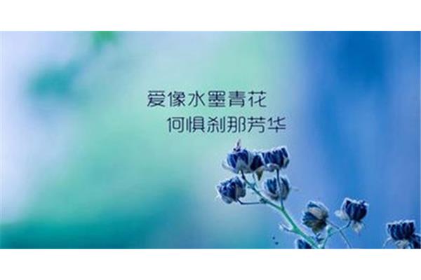 爱情人生格言